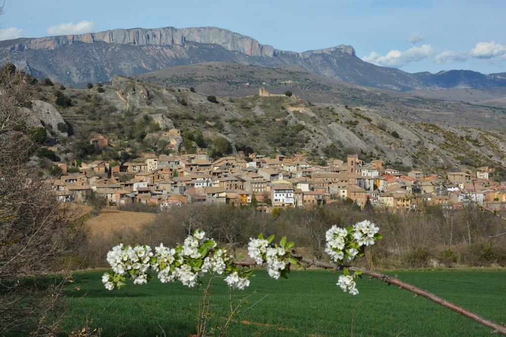 Apartamentos Turisticos Can Rocamora Aren Екстериор снимка